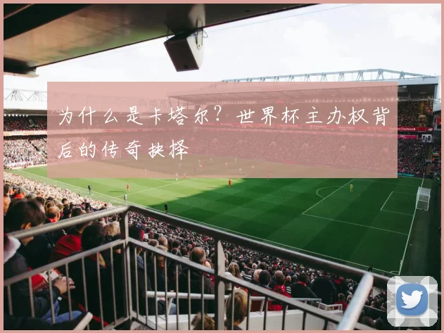 为什么是卡塔尔?世界杯主办权背后的传奇抉择