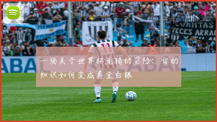 一场关于世界杯竞猜的冒险:你的知识如何变成真金白银