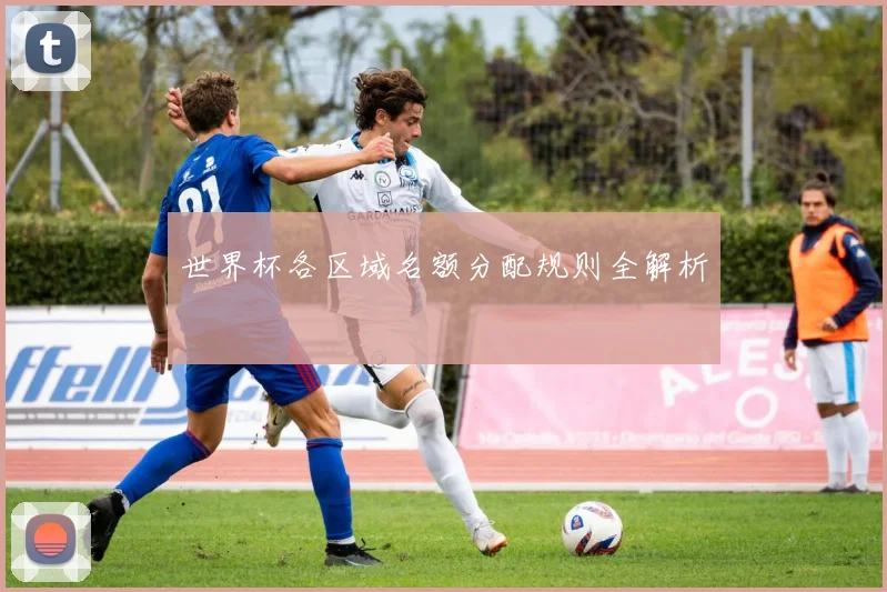 世界杯各区域名额分配规则全解析