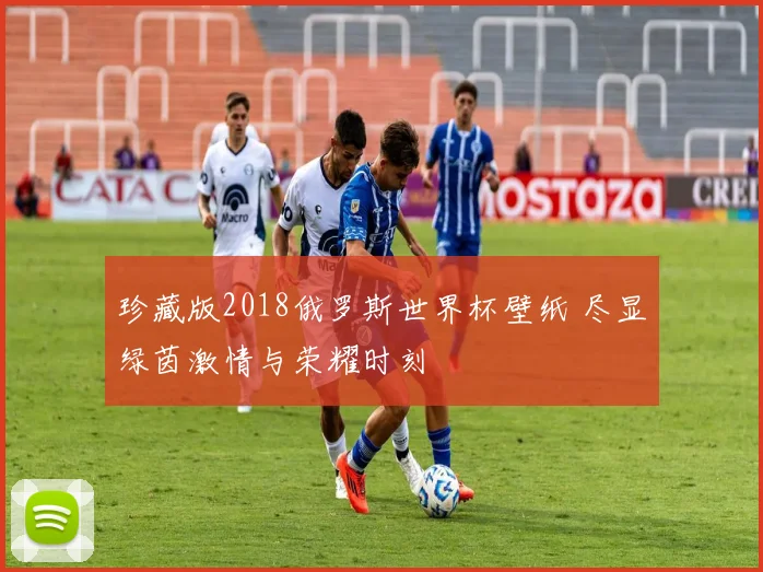 珍藏版2018俄罗斯世界杯壁纸 尽显绿茵激情与荣耀时刻