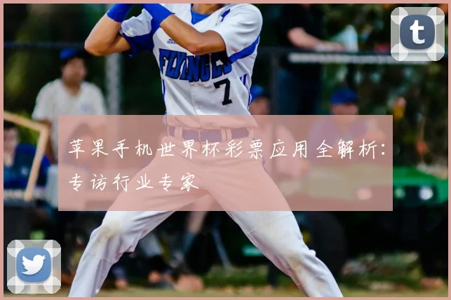 苹果手机世界杯彩票应用全解析:专访行业专家