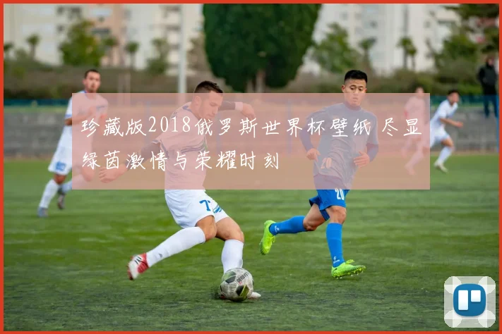 珍藏版2018俄罗斯世界杯壁纸 尽显绿茵激情与荣耀时刻