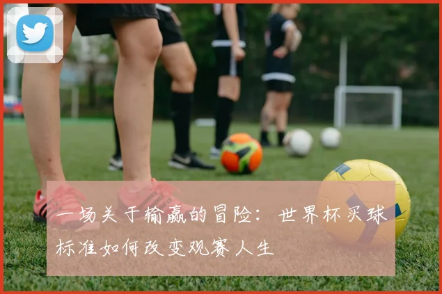 一场关于输赢的冒险:世界杯买球标准如何改变观赛人生