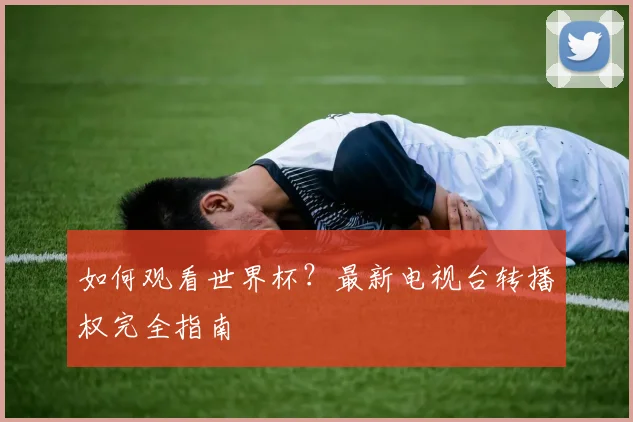 如何观看世界杯？最新电视台转播权完全指南