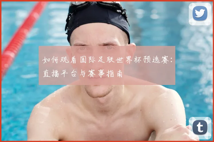 如何观看国际足联世界杯预选赛:直播平台与赛事指南