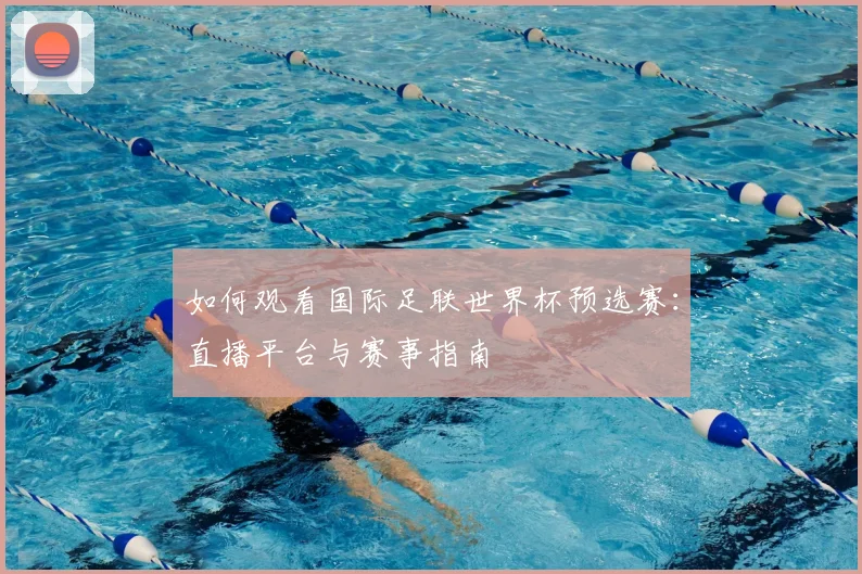 如何观看国际足联世界杯预选赛:直播平台与赛事指南