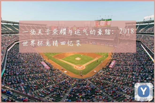 一场关于荣耀与运气的豪赌:2018世界杯竞猜回忆录