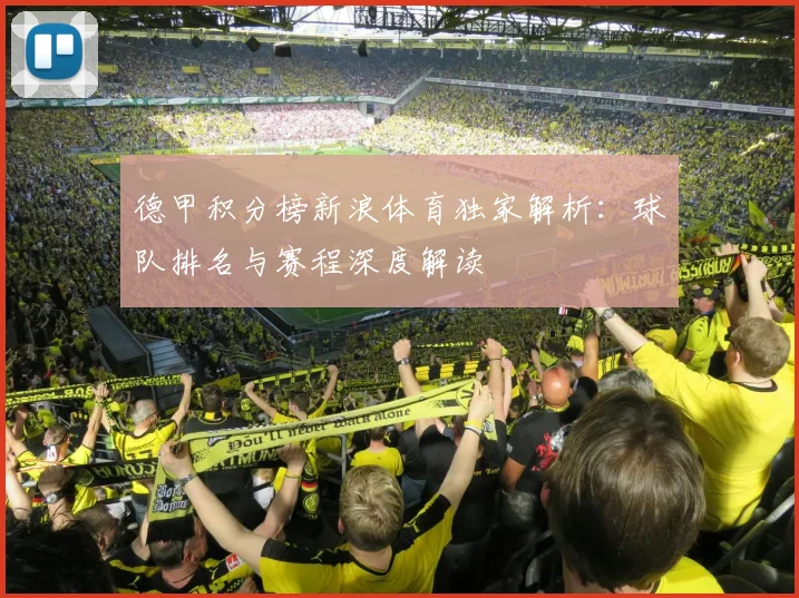 德甲积分榜新浪体育独家解析：球队排名与赛程深度解读